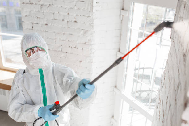 Best Forensic Mold Investigation  in Churchill, MT
