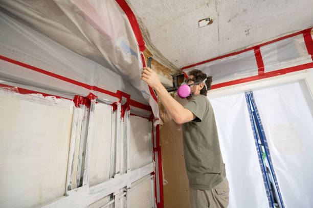 Best Mold Documentation for Insurance Claims  in Churchill, MT