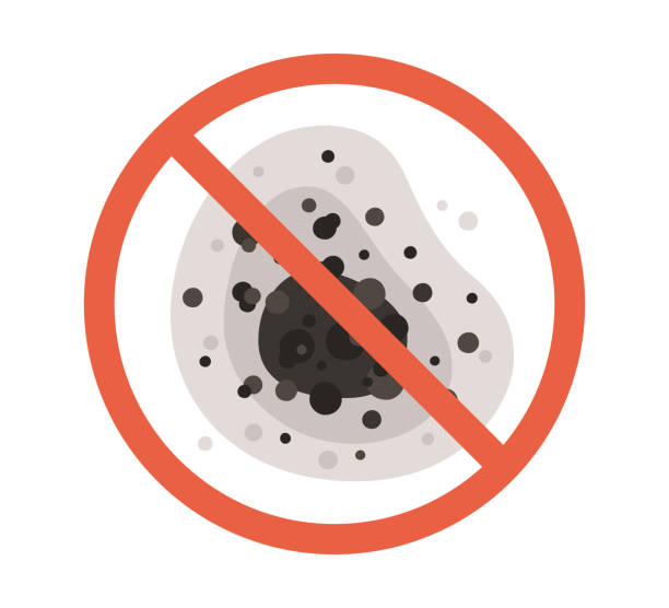 Best Air Quality Testing for Mold Spores  in Churchill, MT