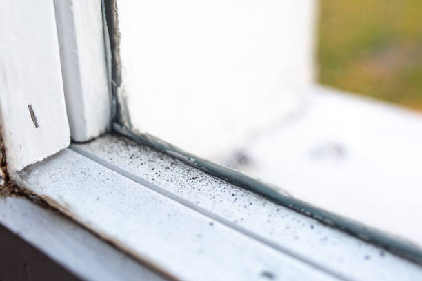 Mold Removal for HVAC Installations in Churchill, MT