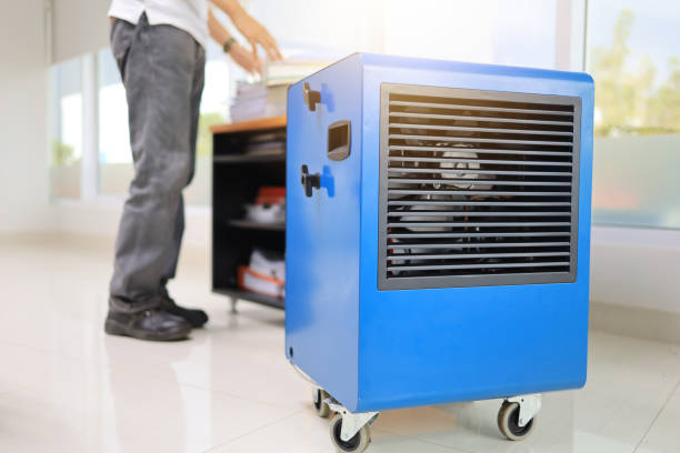 Best Mold Remediation for Healthcare Facilities  in Churchill, MT