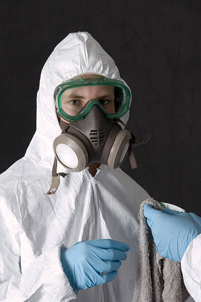 Best Asbestos and Lead Testing During Mold Inspection  in Churchill, MT